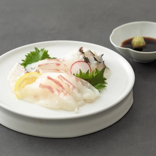 참돔 사진